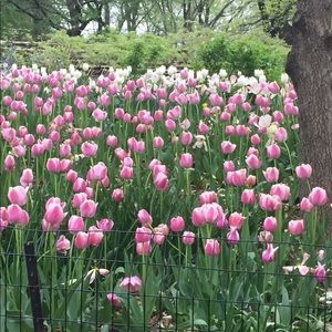 Meet your Posher, Ed